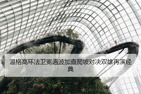 温格高环法卫冕遇波加查爬坡对决双雄再演经典