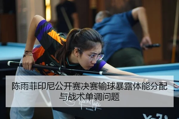 chen-yu-fei-yin-ni-gong-kai-sai-jue-sai-shu-qiu-bao-lu-ti-neng-fen-pei-yu-zhan-shu-dan-diao-wen-ti-2-409.jpg