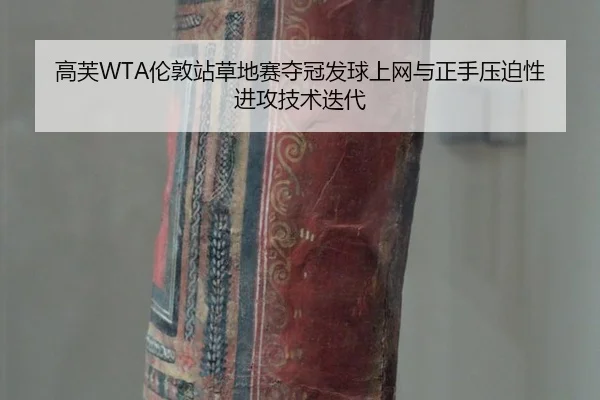 gao-fu-lun-dun-zhan-cao-di-sai-duo-guan-fa-qiu-shang-wang-yu-zheng-shou-ya-po-xing-jin-gong-ji-shu-die-dai-2-812.jpg